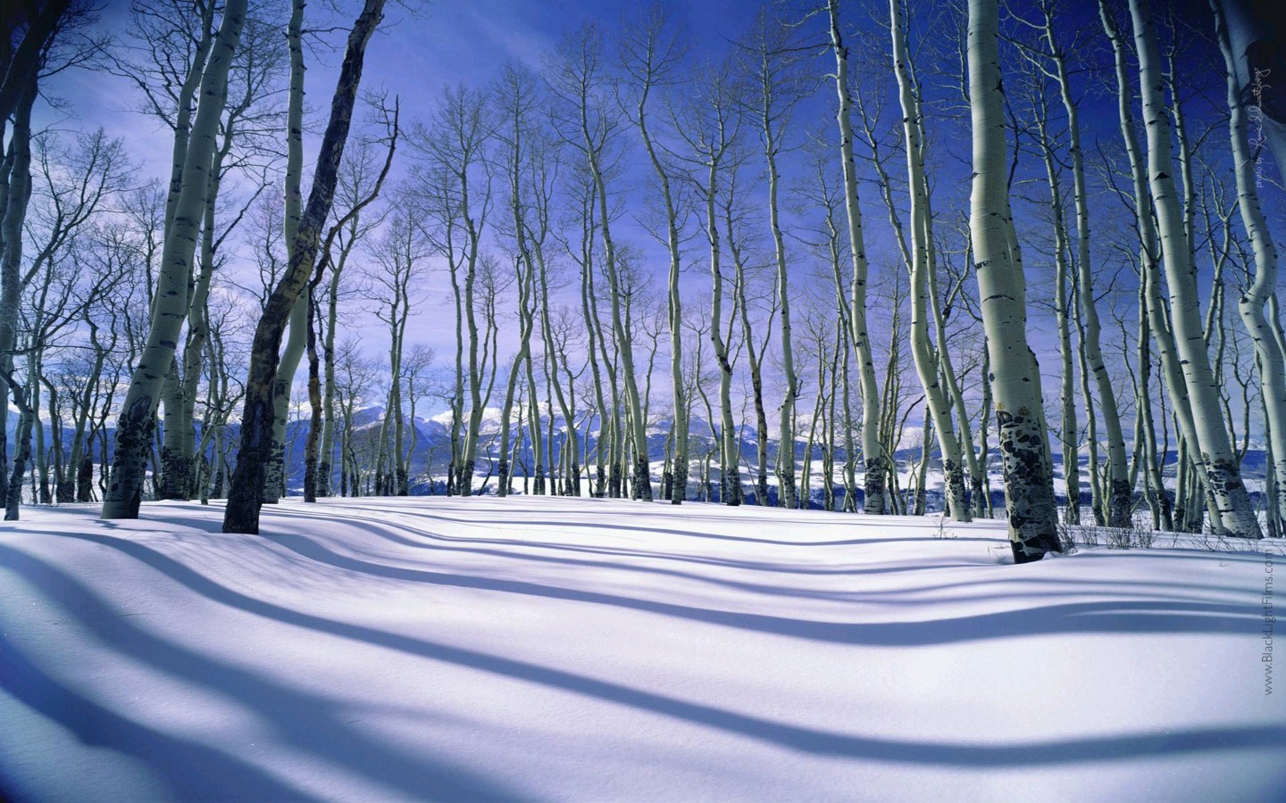 【潇湘文学社】潇湘如兰诗社《总507期》（雪）（图17）