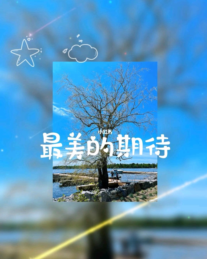 《写给十二月的诗》作者/张苏 诵读/冬日艳阳 编辑/五指山【花雨馨声】有声文学平台【第138期】（图2）