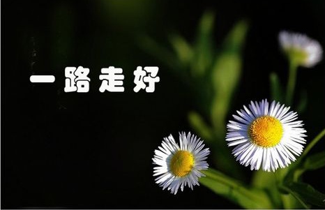 七律•痛悼江泽民同志 作者／陈雪云（图4）