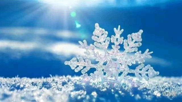 〖诗歌小辑〗诗人 芦国柱（江苏镇江）【冰心文化传媒】（图6）