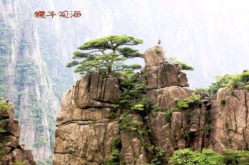 七律•李总理携国际经济友人上黄山/王慧生（图2）