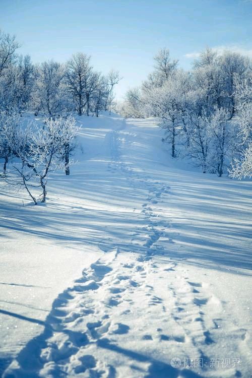 《雪》作者:老守一井【主播:铁魂】【桃源国际诗歌集团】用声音传递温暖以诵读致敬人生♬（图6）