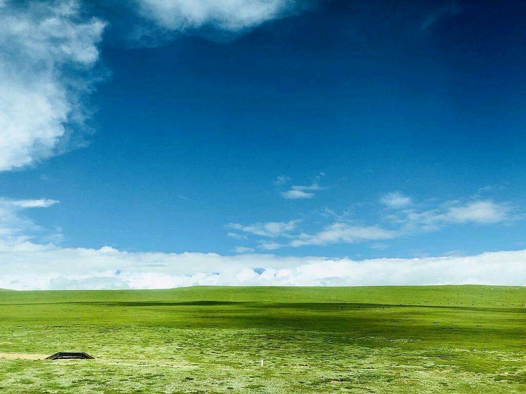 〖诗词小辑〗诗人 王香谷（悉尼）【冰心文化传媒】（图14）