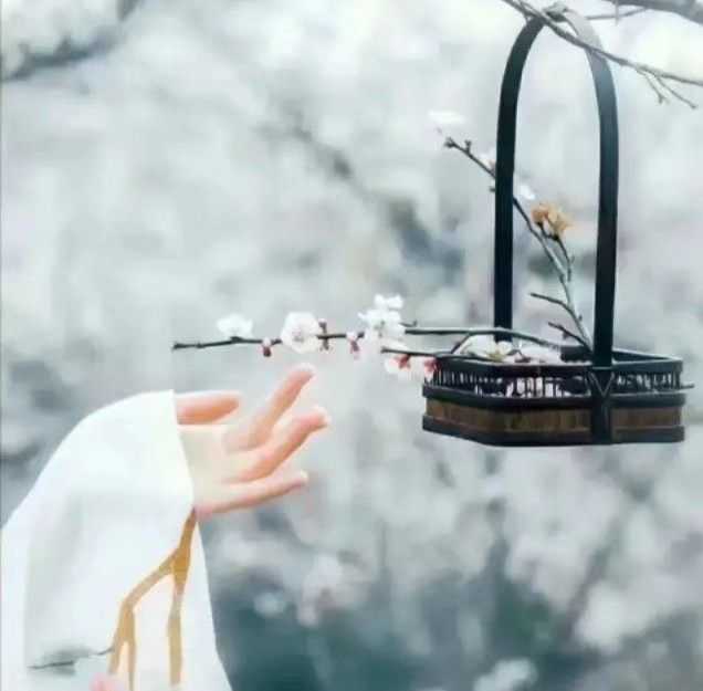 〖诗词小辑〗诗人 青苹果（甘肃）【冰心文化传媒】（图3）