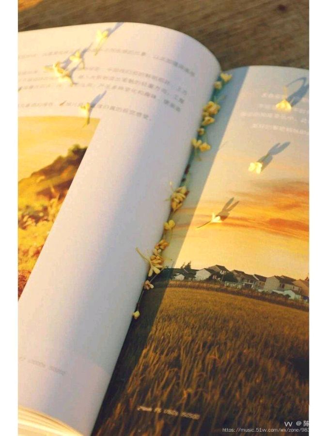 陈金茂（纽约）看图写诗（105）一本打开的书（三首）【冰心文化传媒】（图4）