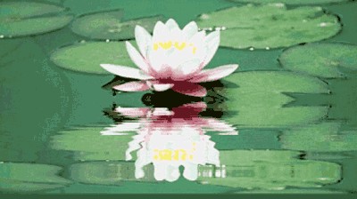 陈金茂（纽约）看图写诗（105）一本打开的书（三首）【冰心文化传媒】（图7）