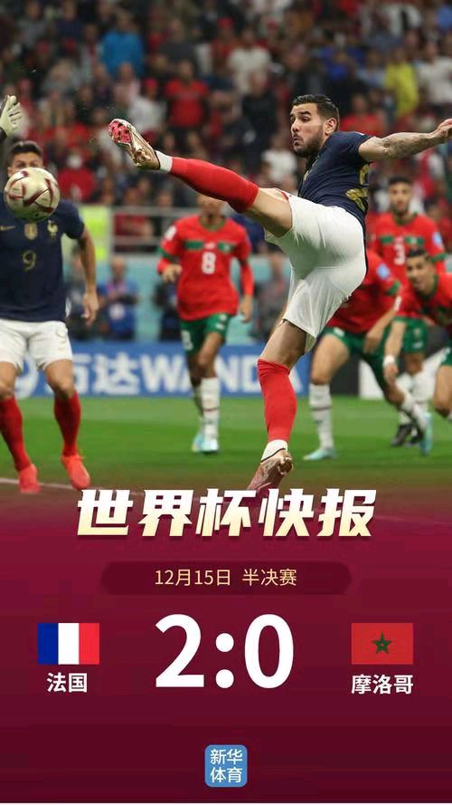 冯志清（上海）世界杯看球之62【冰心文化传媒】（图3）