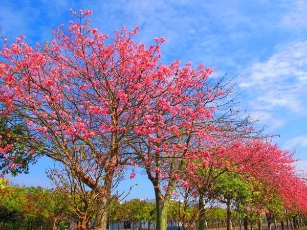 【北京头条】分享优秀诗人刘一高先生诗词三首请欣赏(图5)