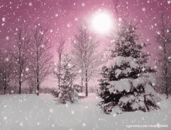 七绝•大雪（外三首）齐宪(黑龙江【冰心文化传媒】（图3）