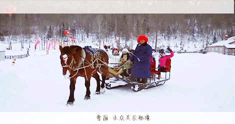 【北京头条】分享优秀诗人书法家王小刚《我爱冬天》请欣赏(图6)