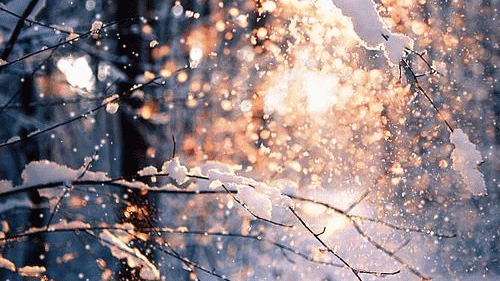 【神都诗社】第043期《雪》（图29）