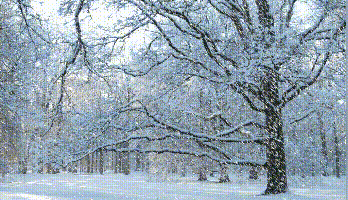 【神都诗社】第043期《雪》（图31）