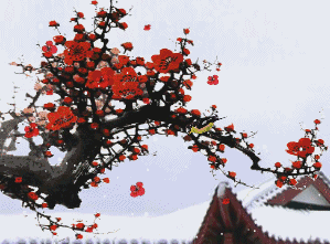 寒冬不在这片土地上（外三首）文/竹叶（陕西）【冰心文化传媒】（图4）