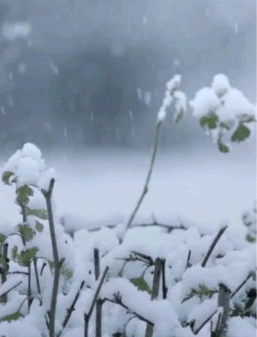【上海头条】诗生活‖微诗专栏18期‖主持:黄其海 出题:黄振（图2）