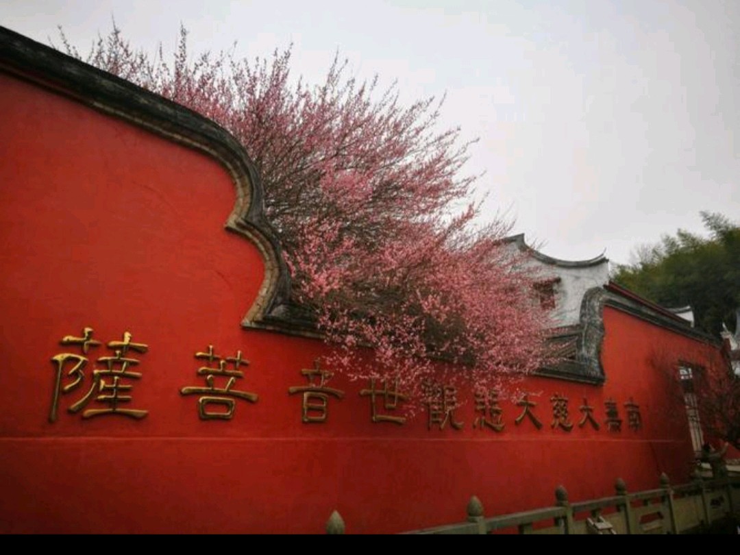 佳作欣赏《西江月 咏缙云南宫寺梅花》作者:应子根