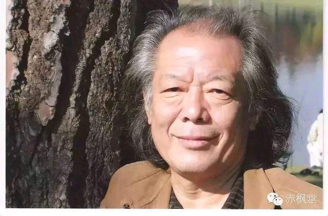 冰奇散文：孤独的狼王 作者 李冰奇（美国）【冰心文化传媒】（图3）