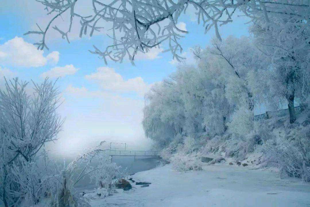 〖诗词小辑〗作者 王新华（河北）【冰心文化传媒】（图3）