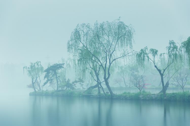 【潇湘文学社】潇湘风荷诗社《总515期》（诗钟二唱烟/雨）（图6）
