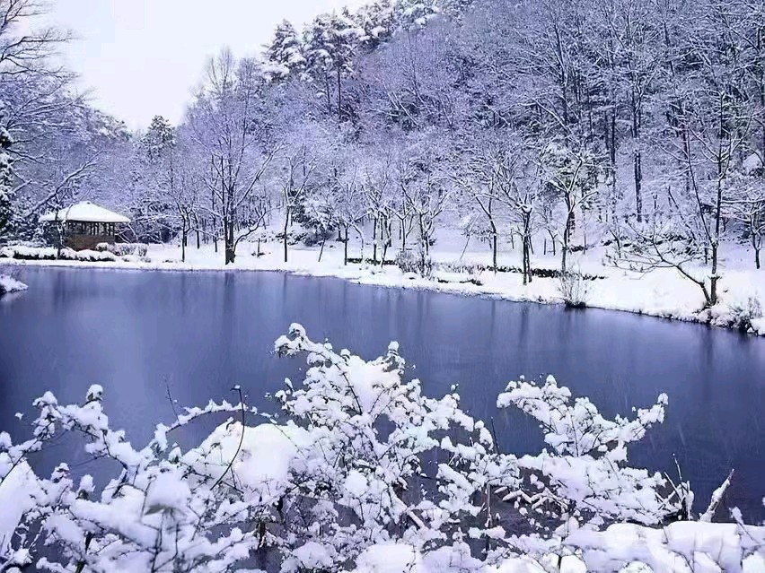 〖诗词小辑〗*冬韵* 作者 王仲飞（北京）【冰心文化传媒】主编 冰心（图3）