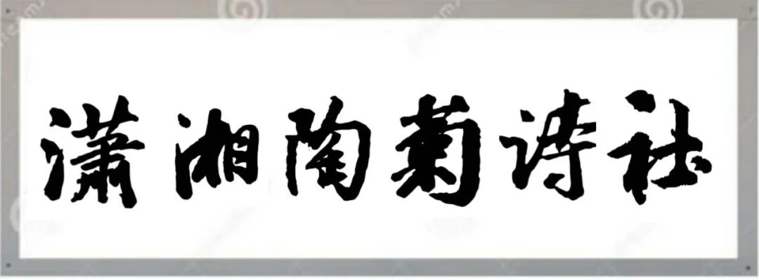 【潇湘文学社】潇湘陶菊诗社《总516期》(雾)(图3)