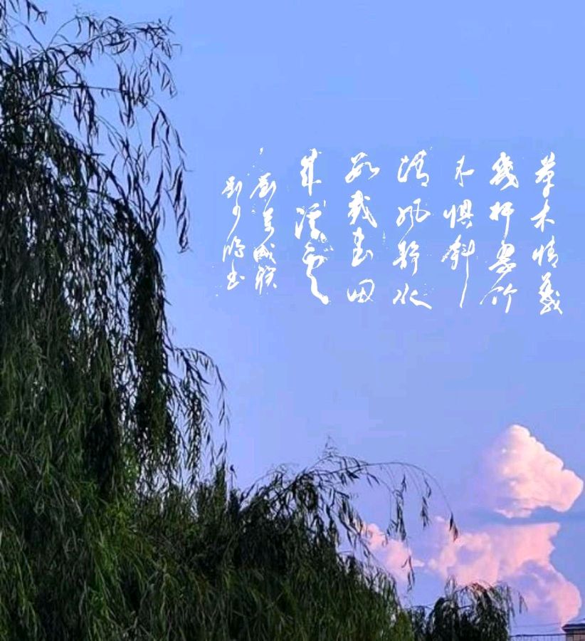 草木最权威