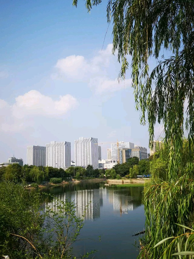 古风*我爱江宁 朱庆舜（江苏）【冰心文化传媒】主编 冰心（图35）