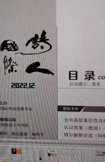 【雅诗总会】诗歌春晚:艺术家萧宽格言漫记554(图29)