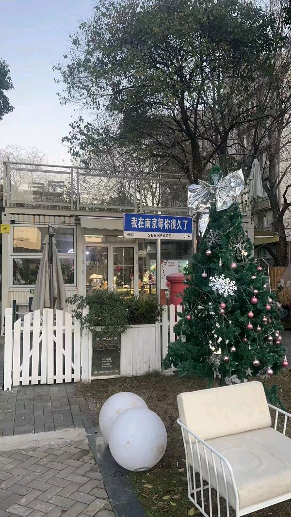 《向青的序言》（外一首）作者｜陈鸣鸣（南京）【冰心文化传媒】（图4）