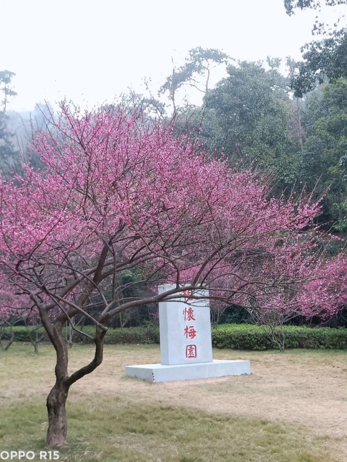 【七律三首(新韵)】《参观梅园新村》、《普通地质课》、《校门口小吃部》作者:李胜峰(图5)