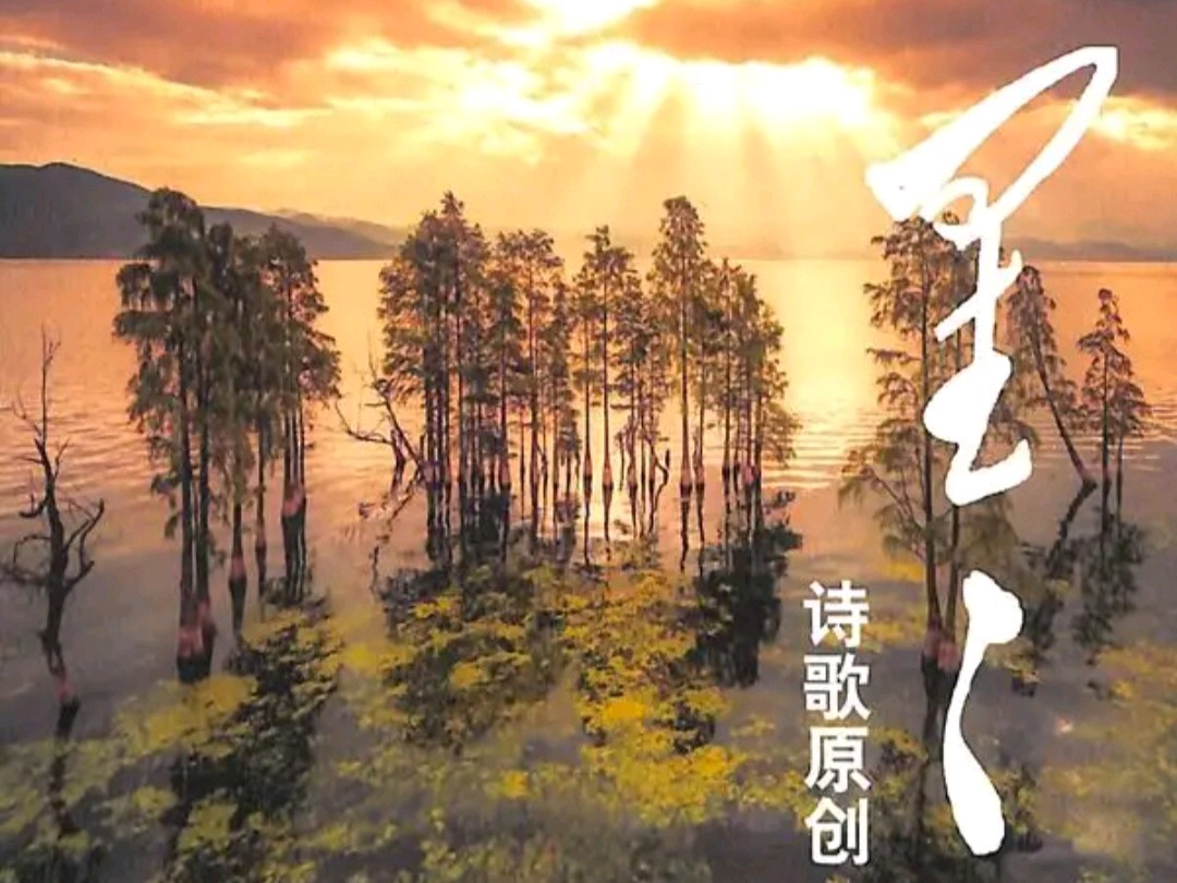 《五绝 收获》作者:王世泽(北京)（图3）