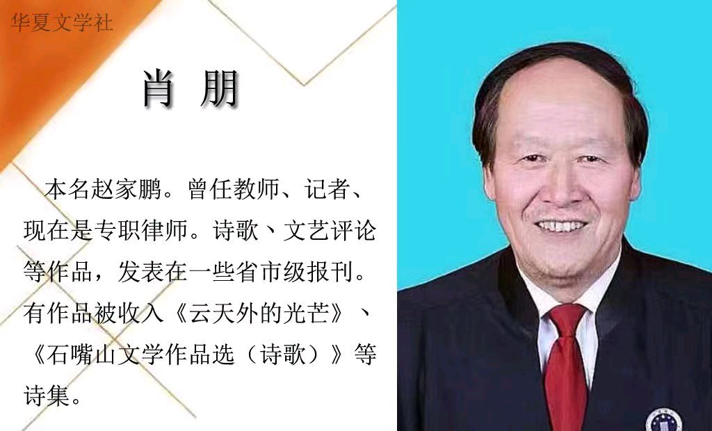 冬，在数九声中潜行/肖朋（图5）