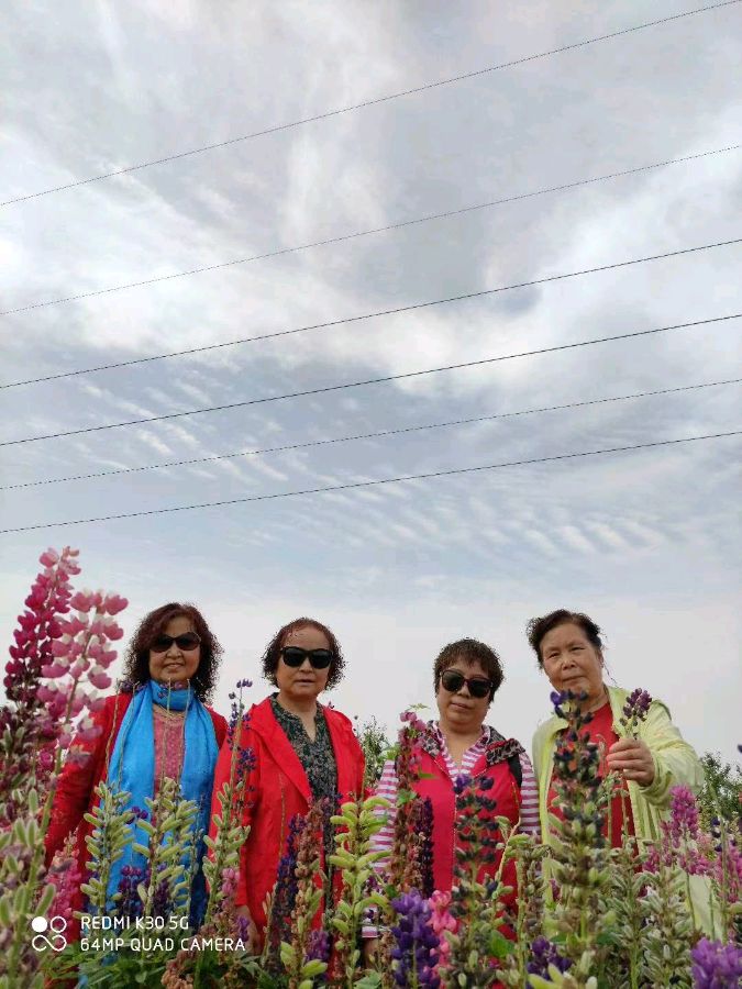 【雅诗总会】精美藏头诗欣赏《太平盛世》(外九首)‖作者:白莲/腊梅(图8)
