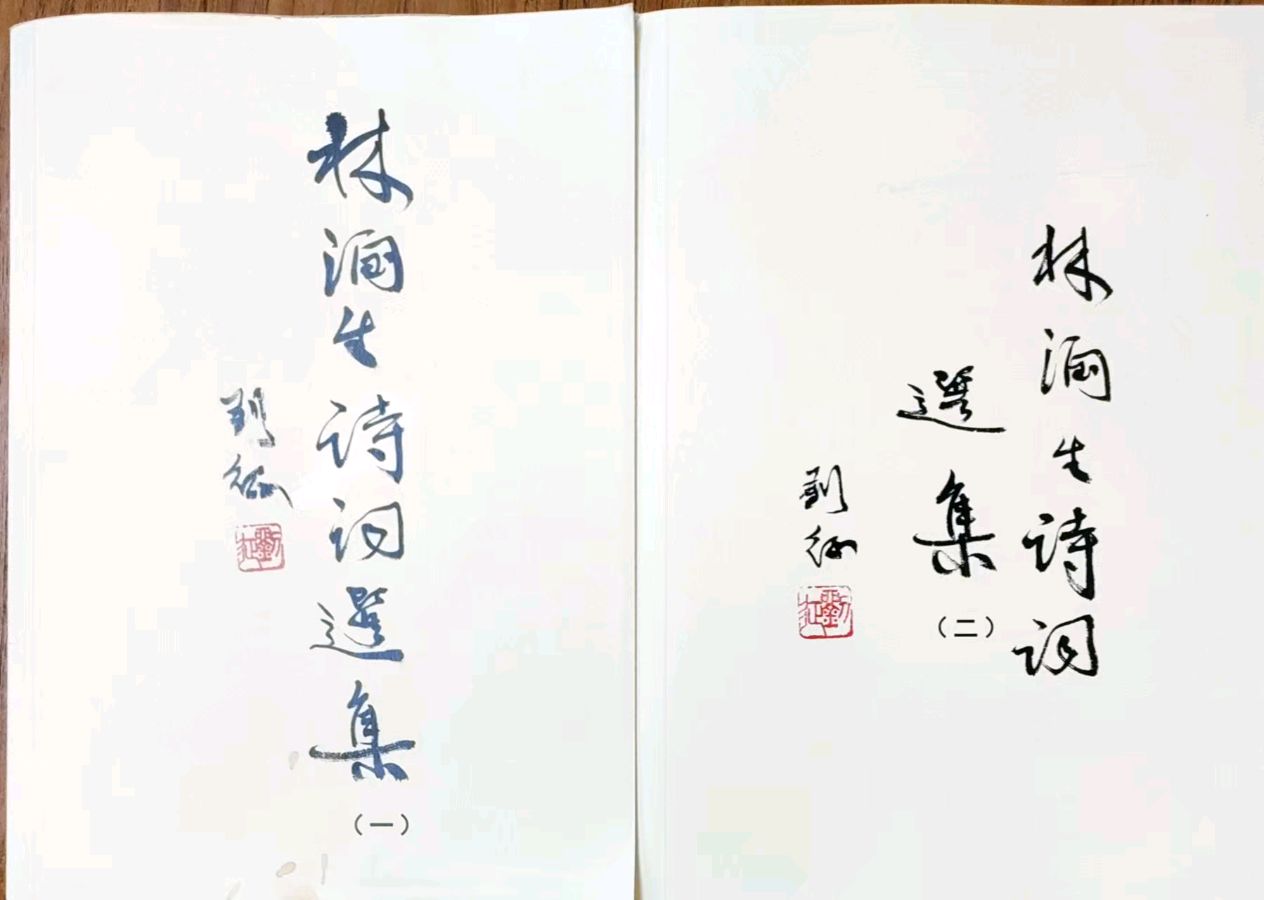 【雅诗总会】新年也有诗如酒(外一首)‖昆侖雪教授精美诗词欣赏之七十五（图2）