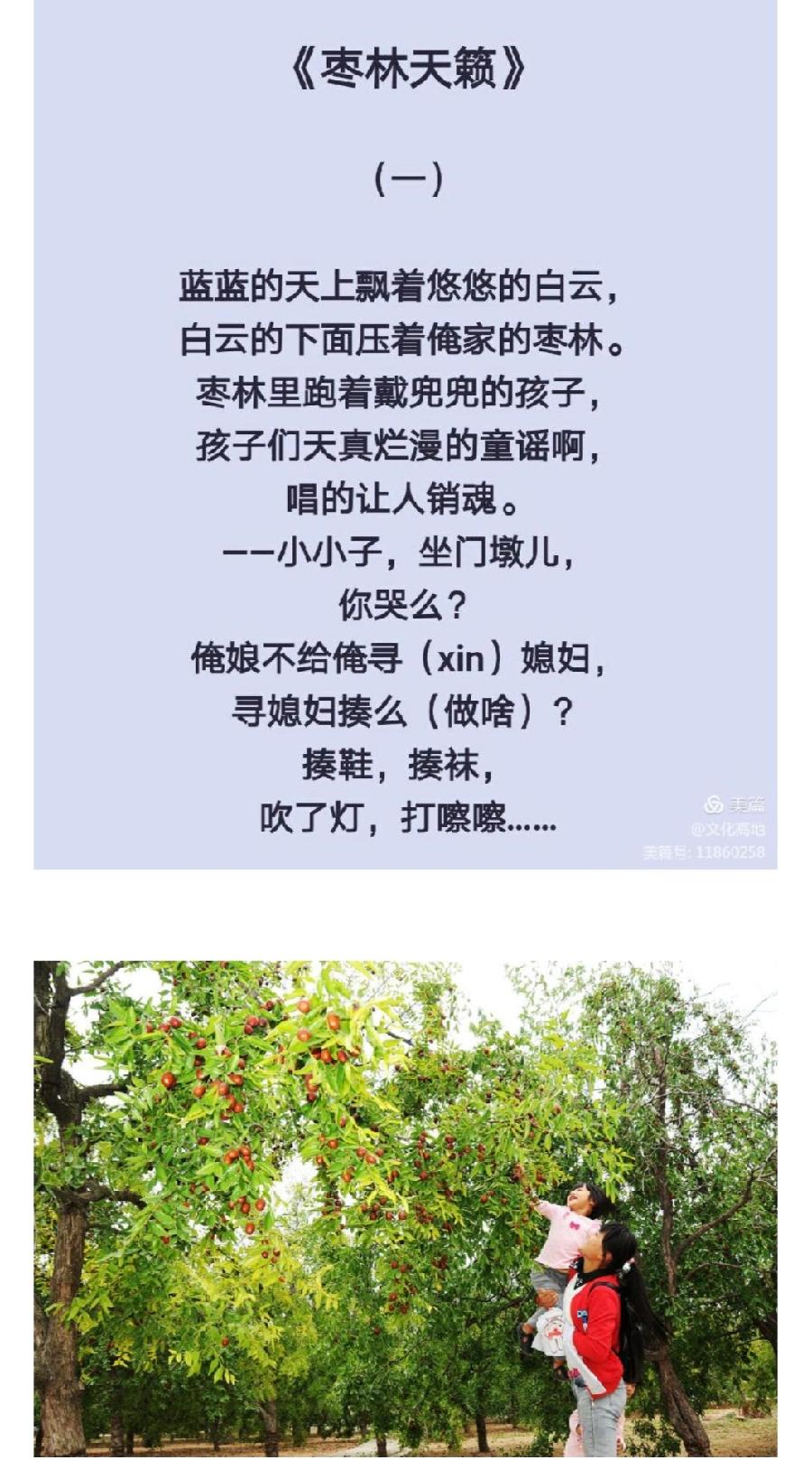 【都市头条向幸福出发编辑部】第1315期 枣林天籁 李炳天 词 褚玉生 曲（图4）
