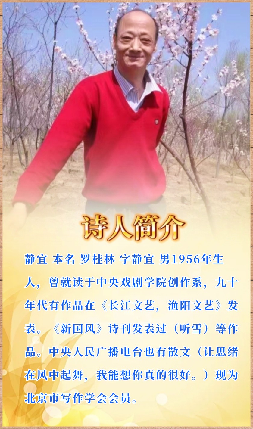 【五月的鲜花诗歌朗诵艺术团】2022特刊《岁末》作者静宜 主播小丽花 编辑制作刘林丽(图6)