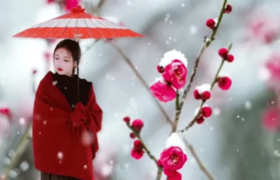 【五月的鲜花诗歌朗诵艺术团】2022特刊《岁末》作者静宜 主播小丽花 编辑制作刘林丽(图5)