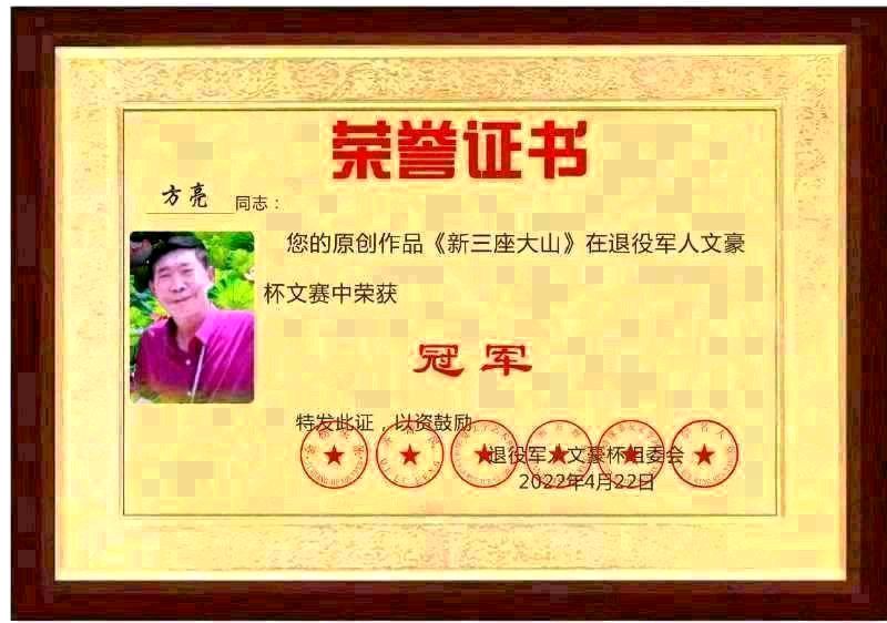 分享优秀作家诗人方亮老师《飞机在天上》请欣赏（图10）