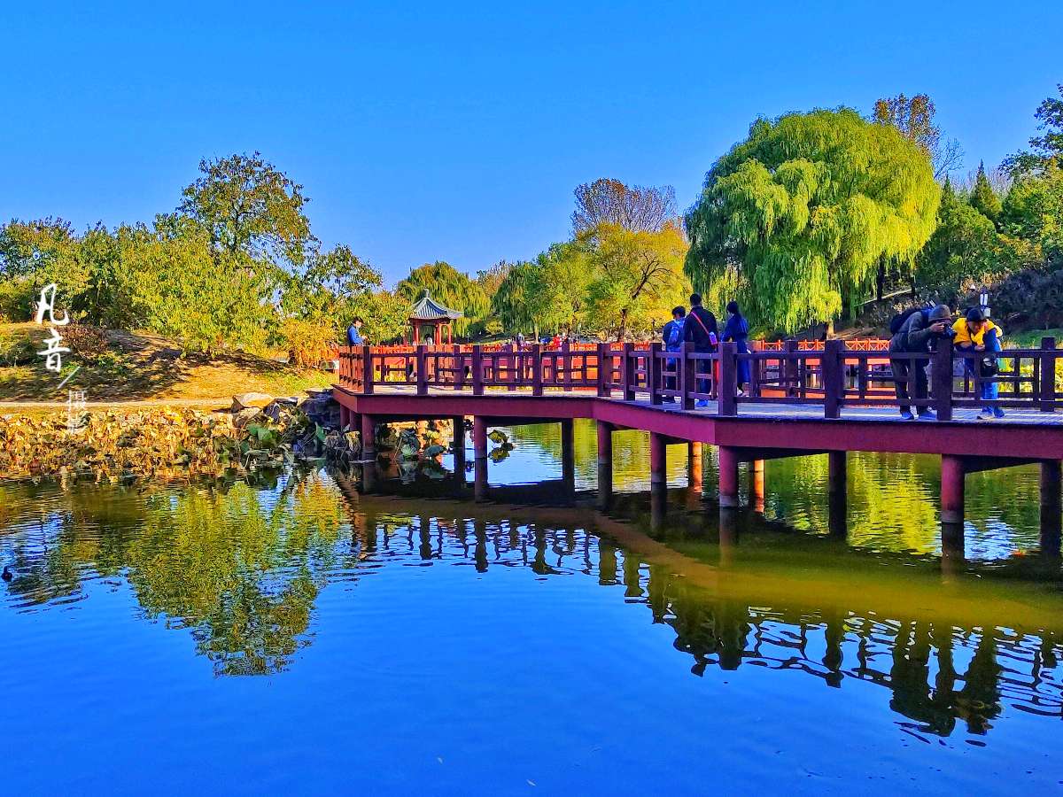 银龄朗诵艺苑 馨缘关朗诵《寒夜过后是黎明》作者：南山（图4）