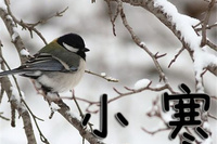 【北京头条】分享裕祥诗词两首请欣赏（图5）