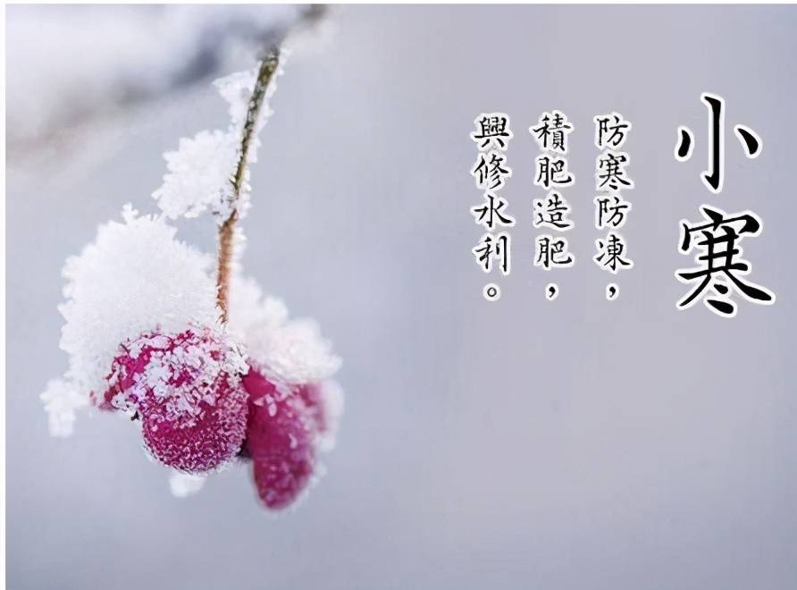 小寒〔外三首〕 季建华（北京）【冰心文化传媒】主编 冰心（图3）