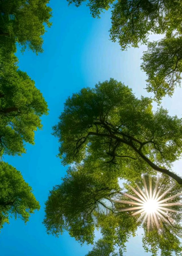 《冬阳(散文随笔)》作者:三月小雨(图2)