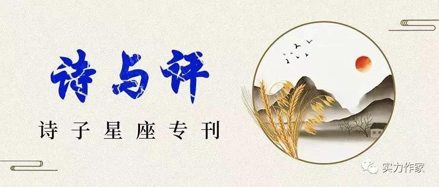 【诗子星座】推出问渠老师精彩诗评《用雪捂热苍凉》(图2)