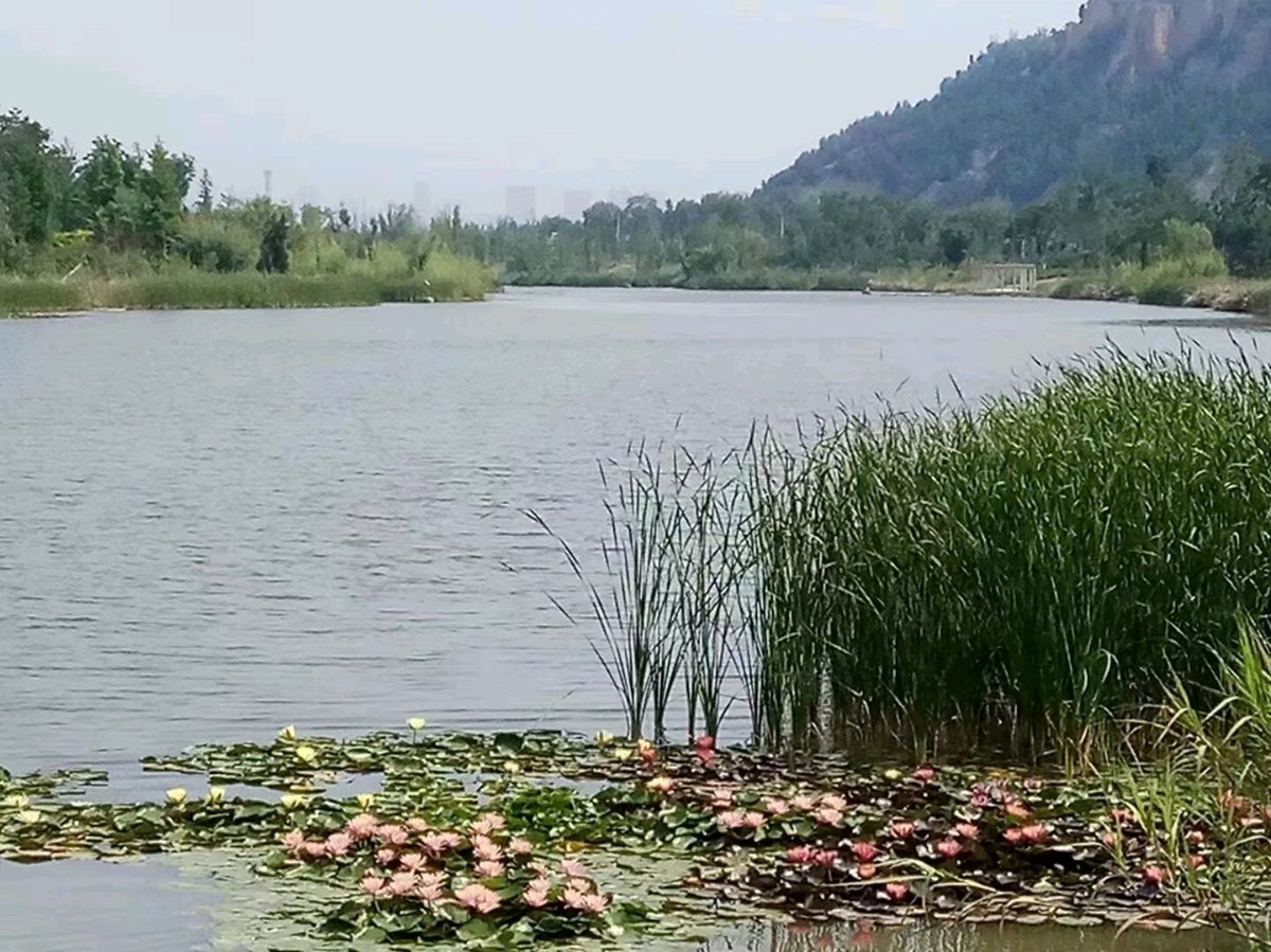 澽水一条充满诱惑的河流（外一首）文/轶仁（陕西）【冰心文化传媒】（图6）