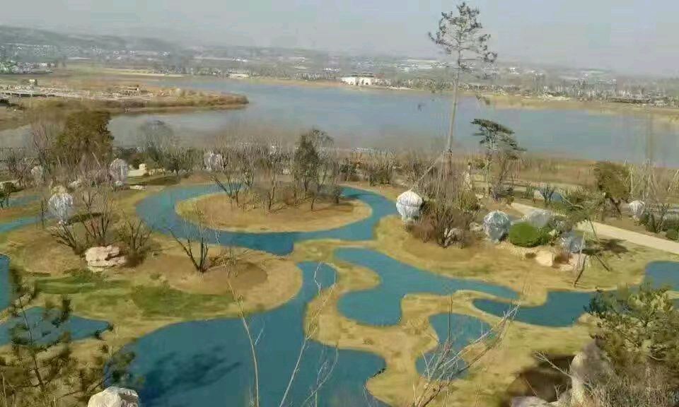 《疫情下的苍白》文/轶仁（陕西）【冰心文化传媒】主编冰心（图7）