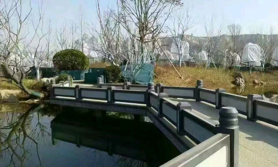 《疫情下的苍白》文/轶仁（陕西）【冰心文化传媒】主编冰心（图8）