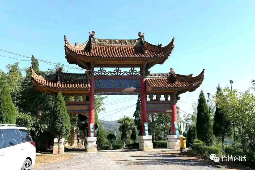 《疫情下的苍白》文/轶仁（陕西）【冰心文化传媒】主编冰心（图4）