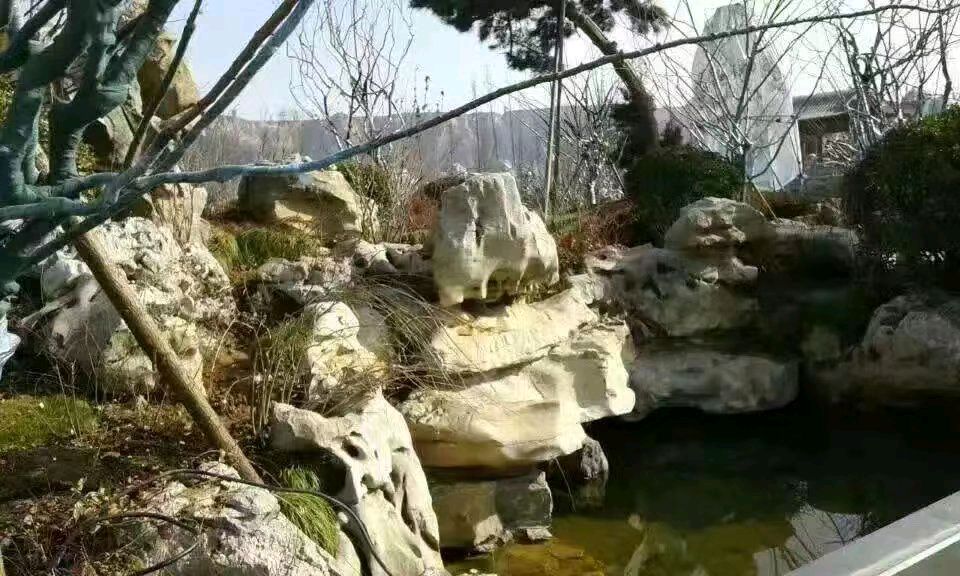 《疫情下的苍白》文/轶仁（陕西）【冰心文化传媒】主编冰心（图6）