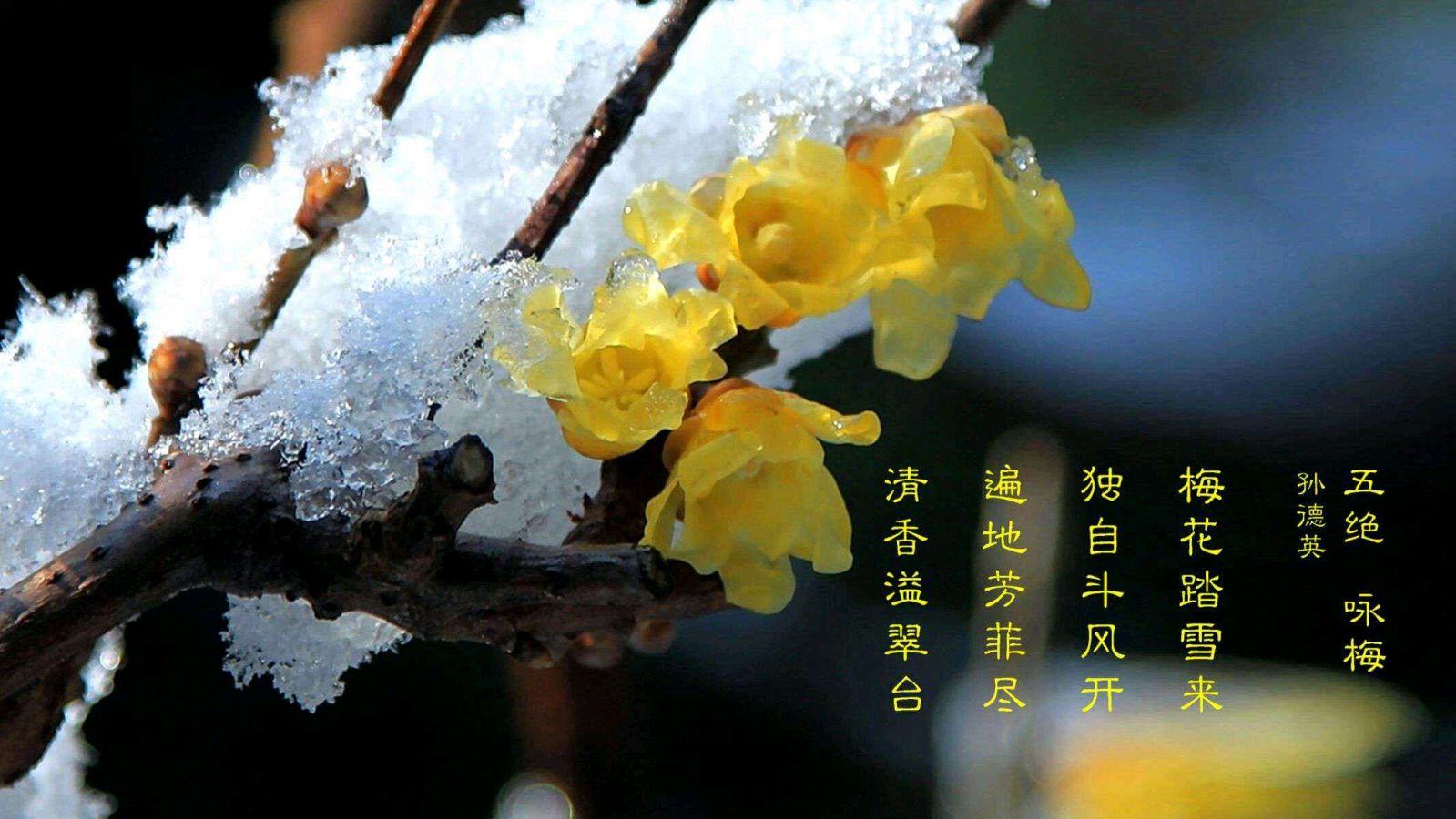 〖诗词专辑二〗诗人 清泉（湖北）【冰心文化传媒】主编 冰心（图26）
