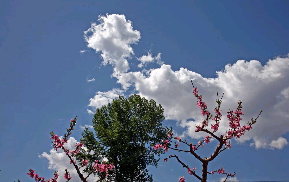 古风.赞葛公(程吉全)(图5)