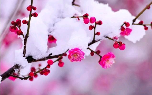 迎新春组诗/李亚华(图2)